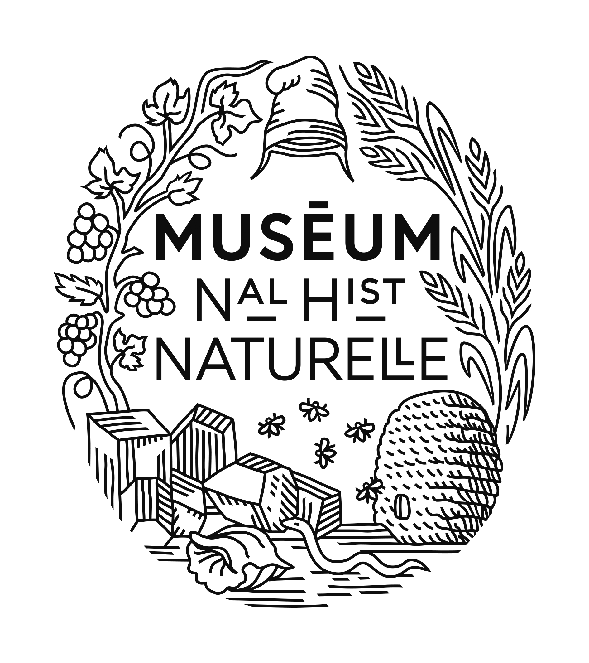 logo du Museum d'histoires naturelles de Paris